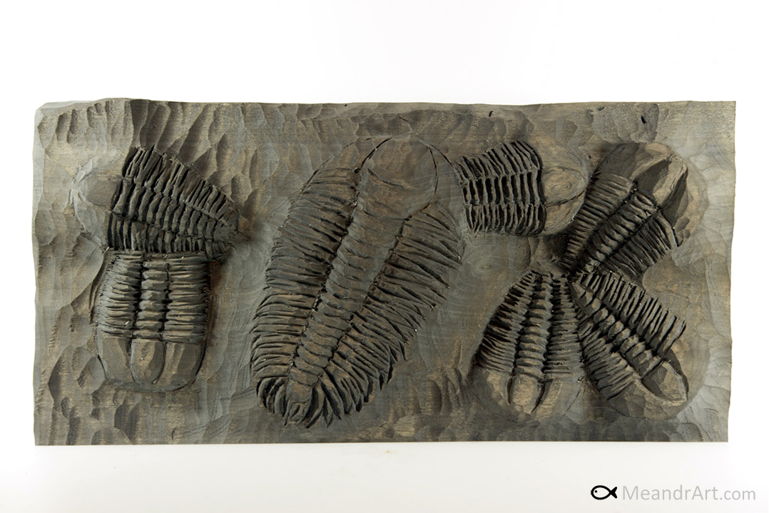 2. Trilobites carving